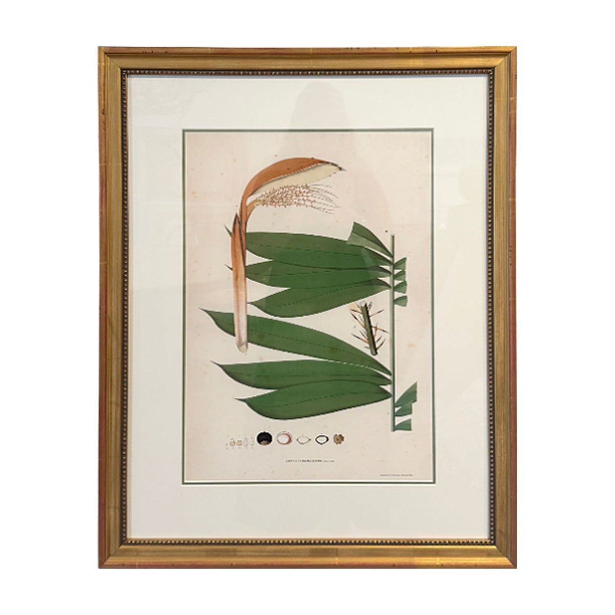 Botanical Palm Leaf Print No. 3, framed art