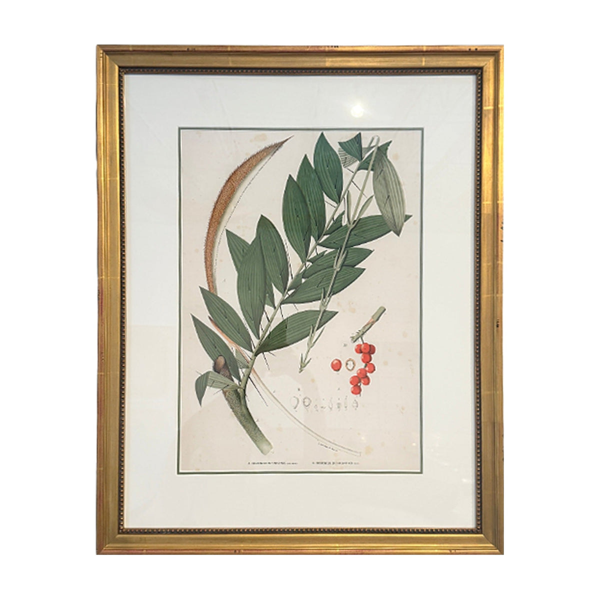 Botanical Palm Leaf Print No. 6, framed art