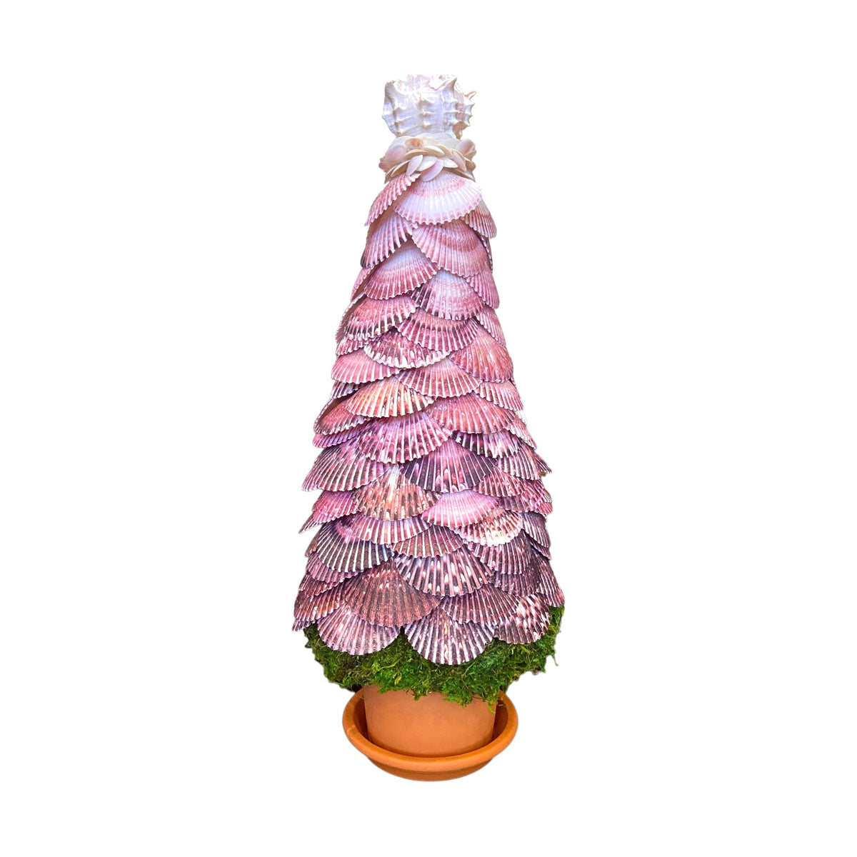 Seashell Topiary on a white background