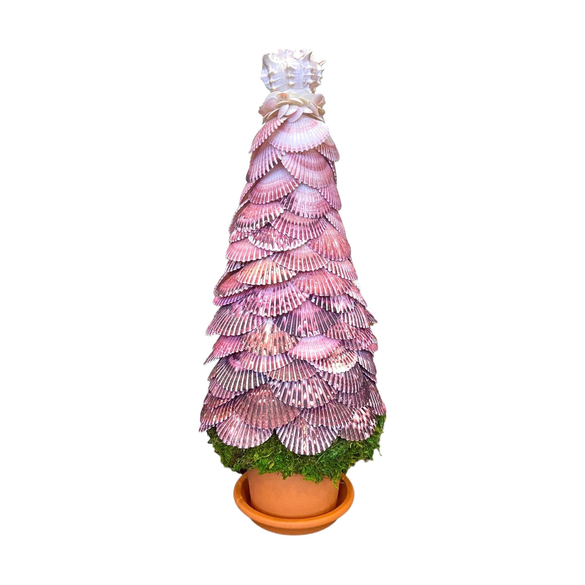 Seashell Topiary