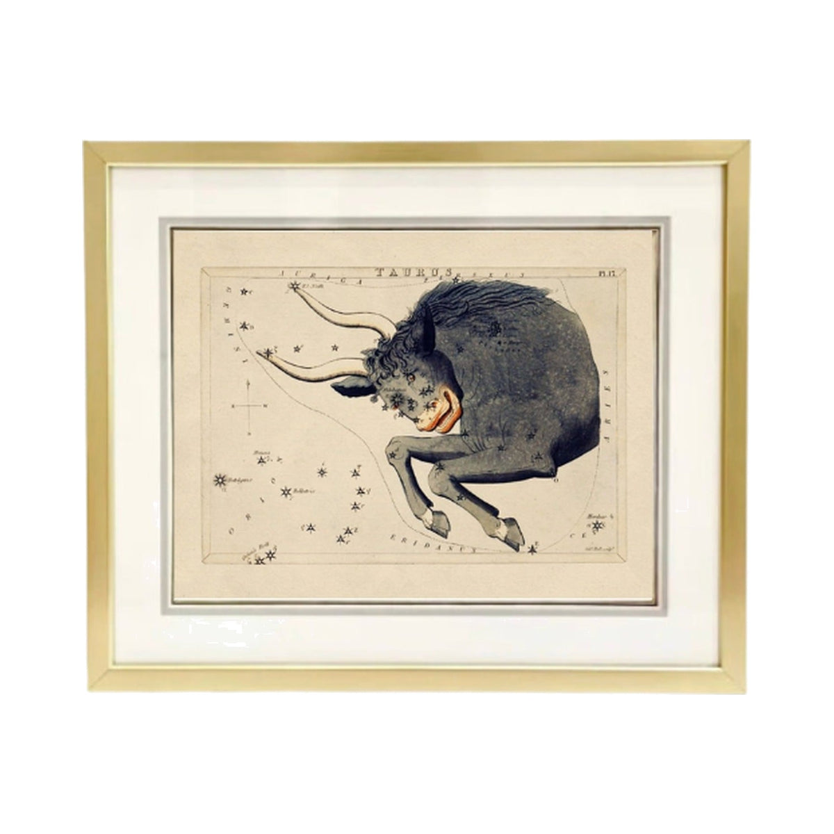 Custom Framed Antique Taurus Zodiac Print, framed art