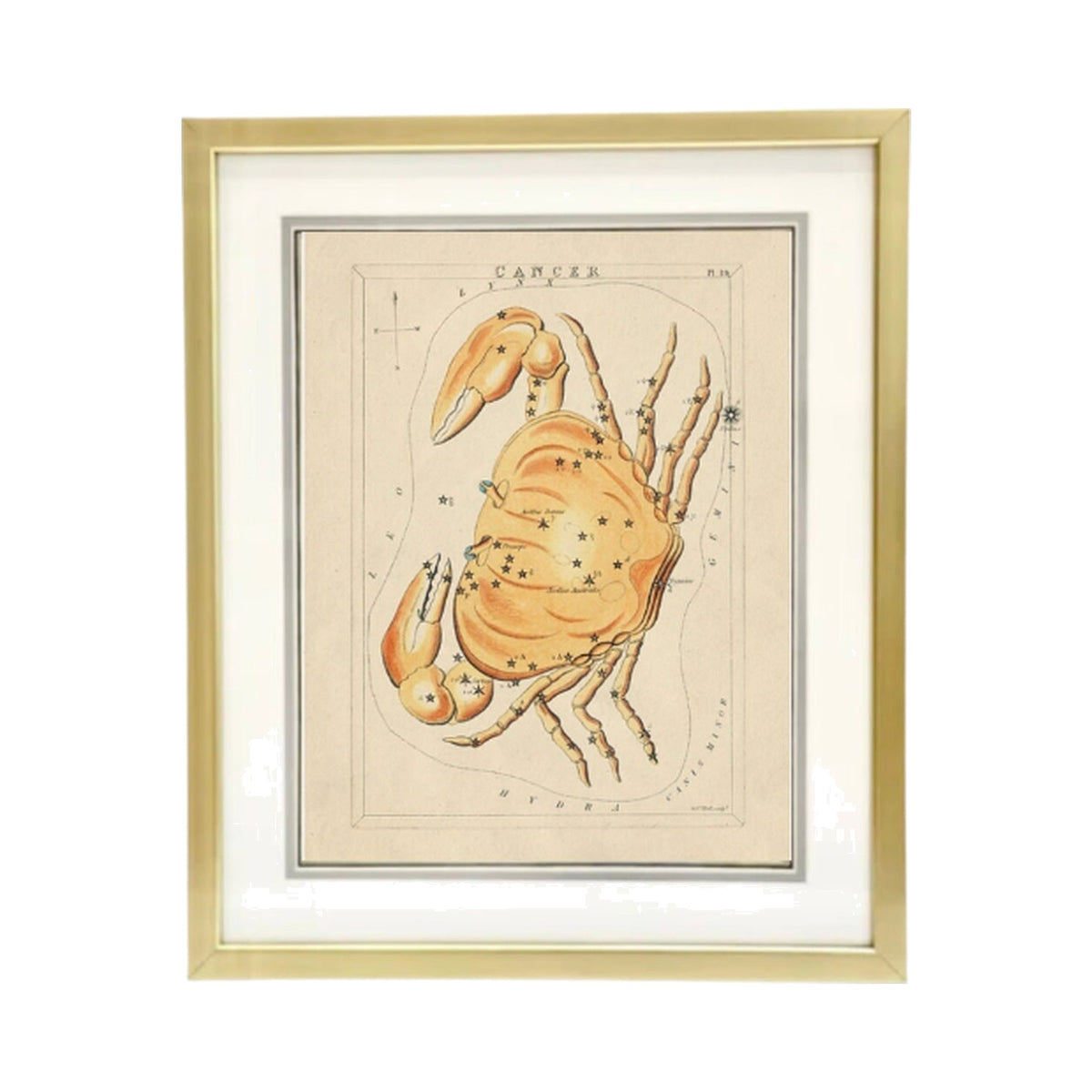 Custom Framed Antique Cancer Zodiac Print, framed art