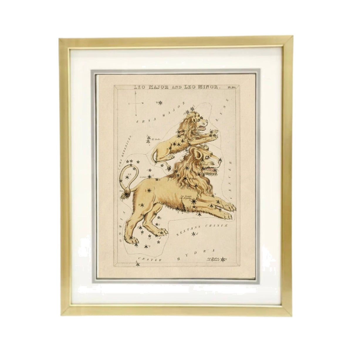 Custom Framed Antique Leo Zodiac Print, framed art