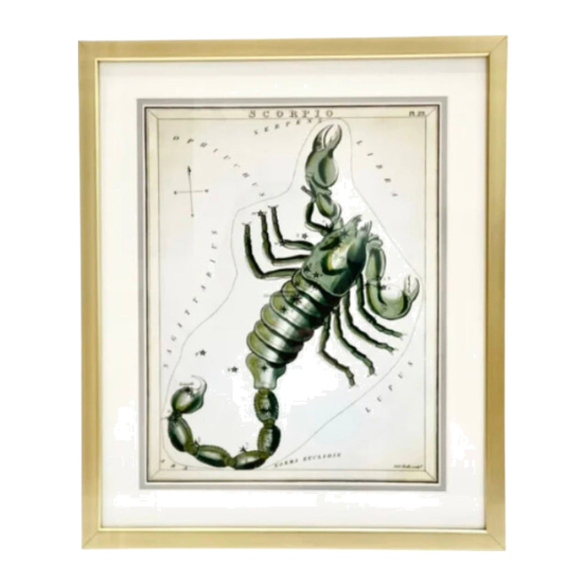 Custom Framed Antique Scorpio Zodiac Print, framed art