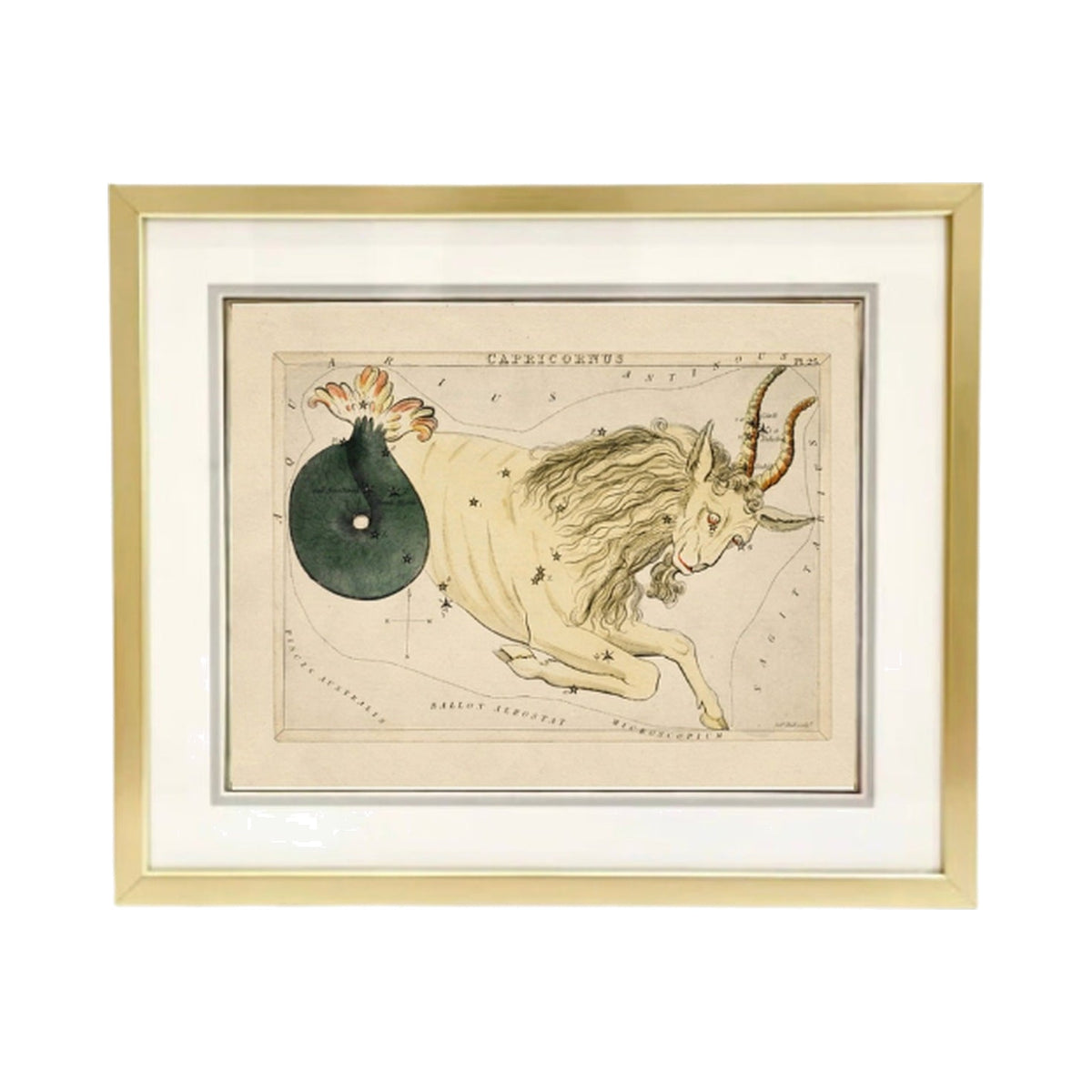 Custom Framed Antique Capricorn Zodiac Print, framed art