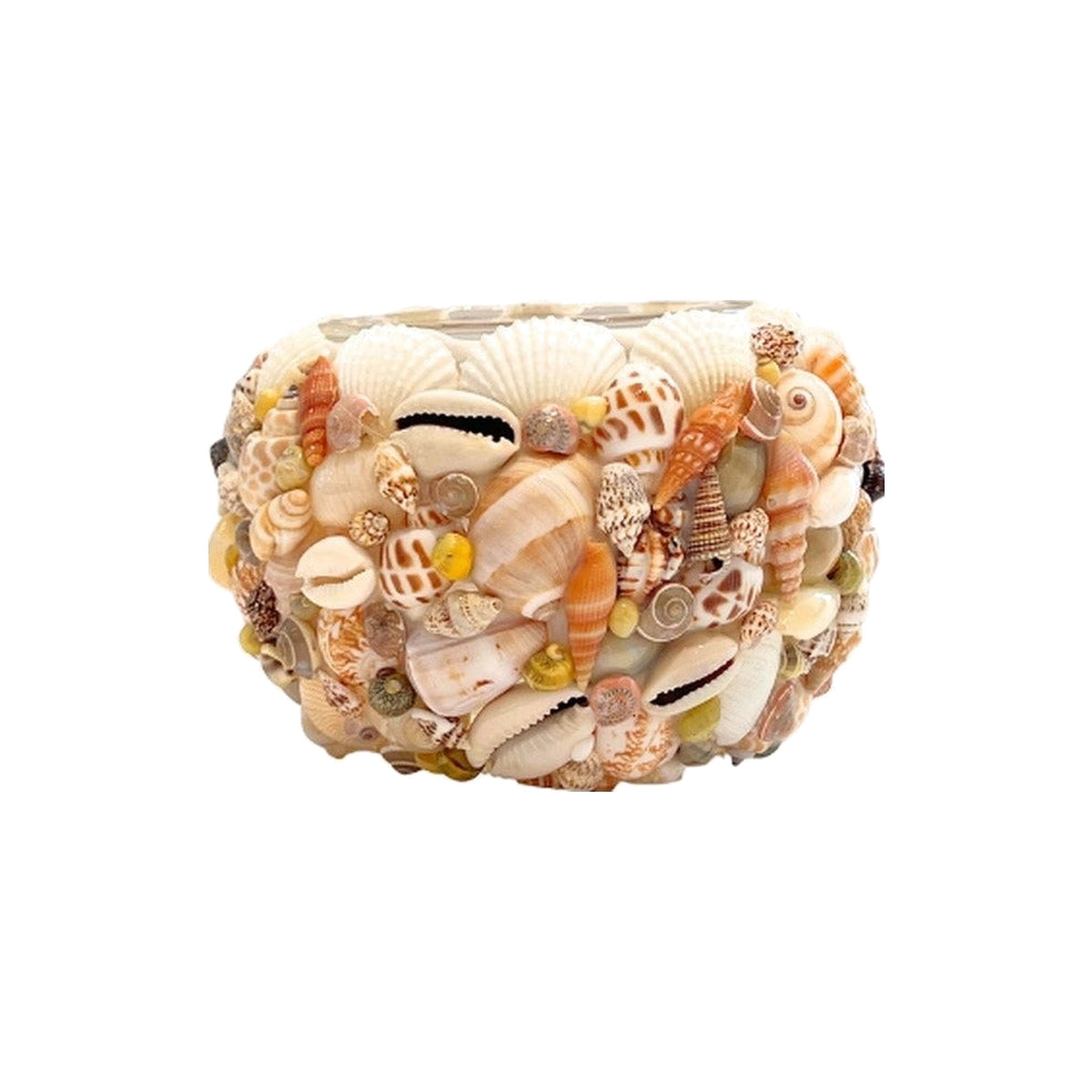 Mixed Color Shell Votives on a white background