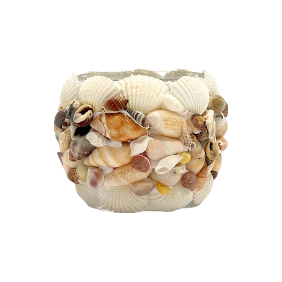 Mixed Color Shell Votives Small on a white background