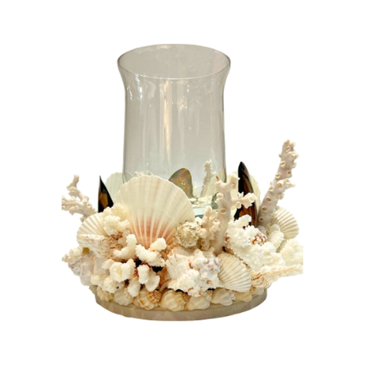 Artisan Crafted Shell Hurricanes on a white background