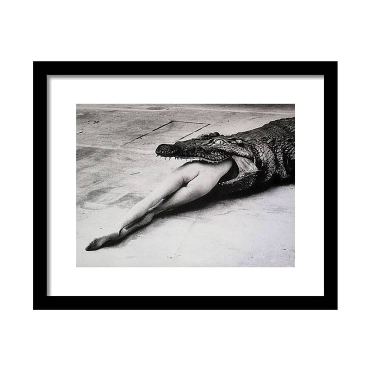Framed photograph: Limited Edition Helmut Newton 'Crocodile Eating Ballerina' Print