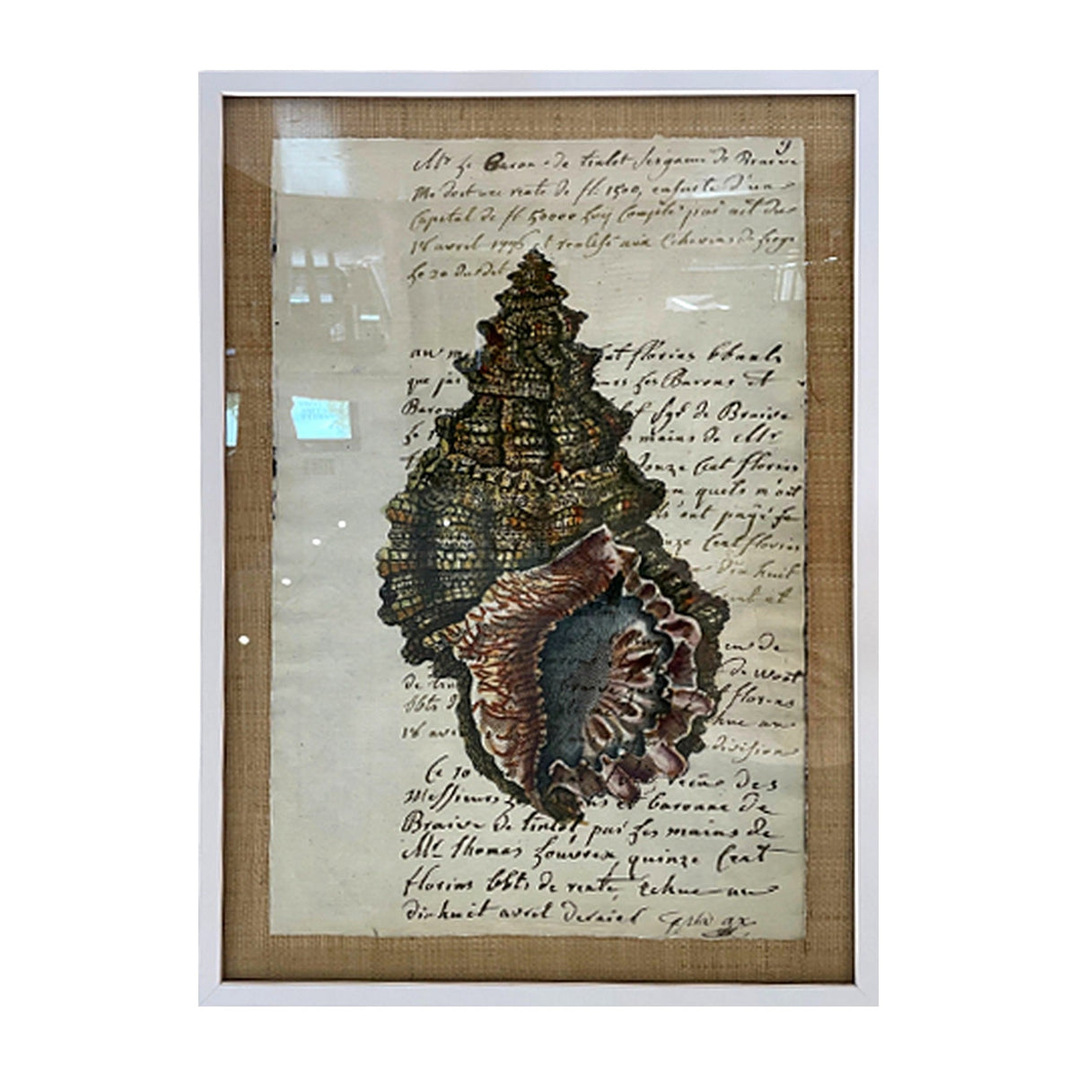 Sorain Manuscript Shell, framed art