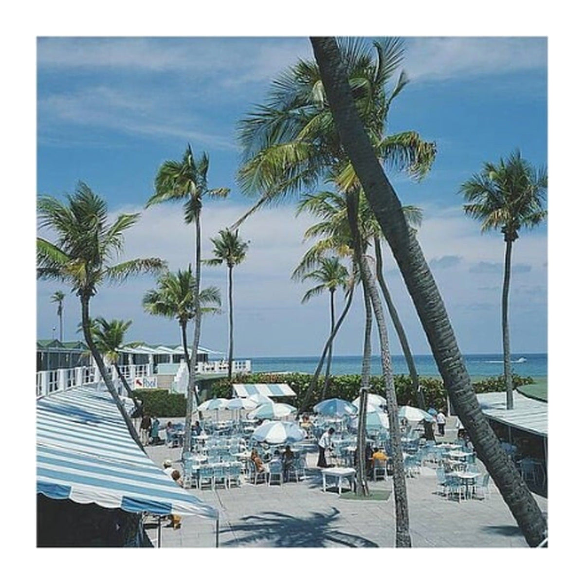 Framed photograph: Florida Palm by Slim Aarons