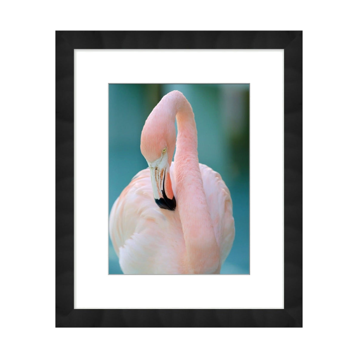 Pink Flamingo, framed bird art