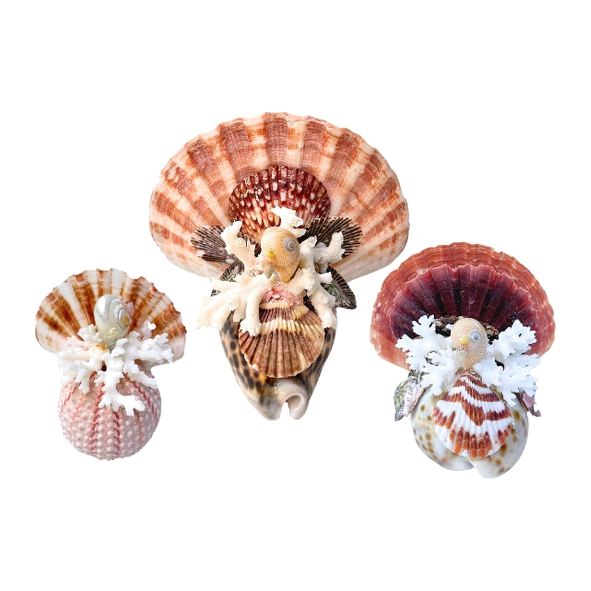Seashell Turkeys