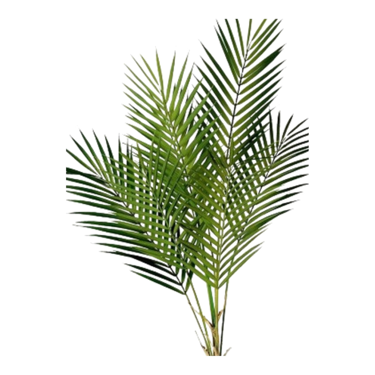Enduraleaf Areca Palm Spray on a white background