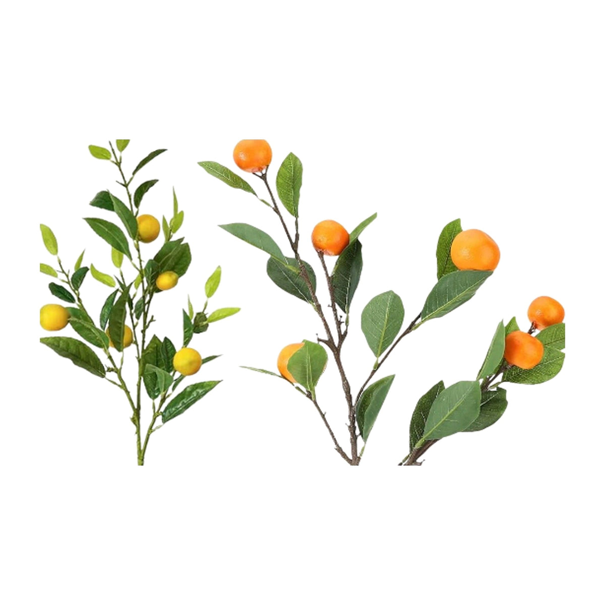Faux Citrus Branches on a white background