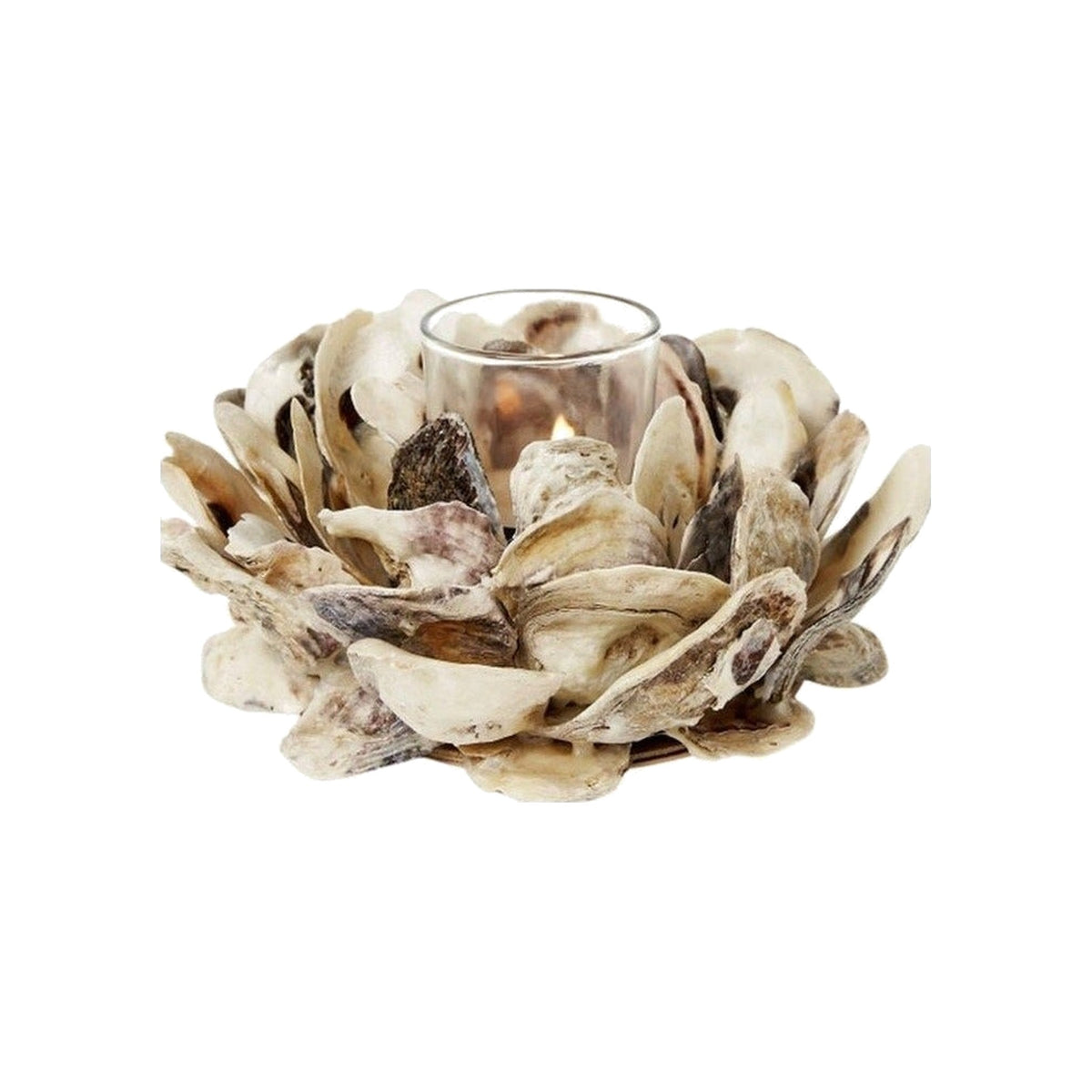 Oyster Votive on a white background