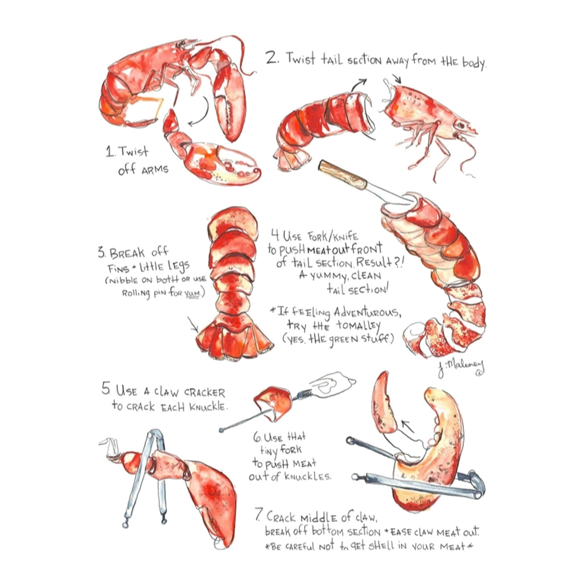 How to Eat a Lobster Table Card, Set of 4 -, shown on a white background