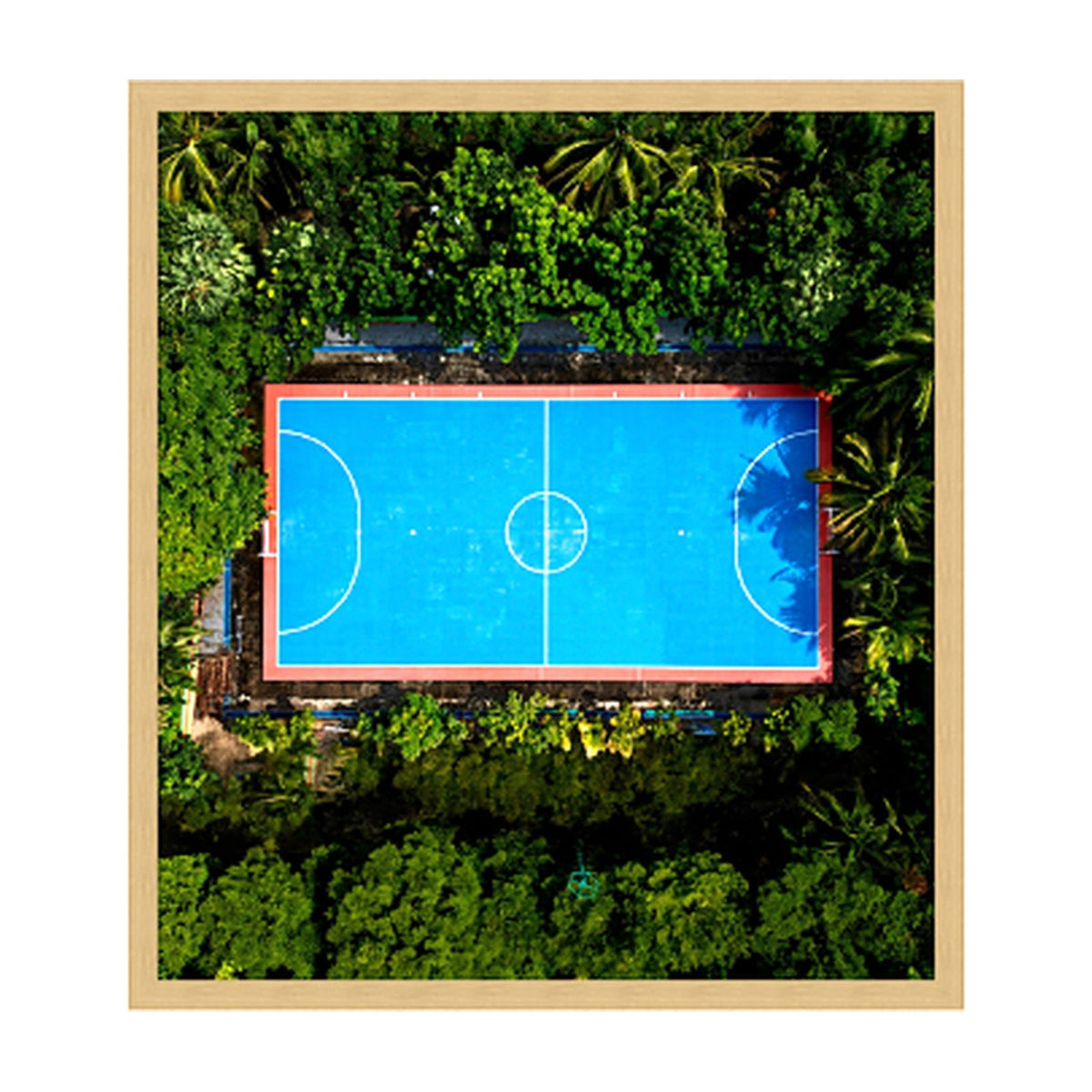Jungle Court 2 in Shadow Box, framed botanical art