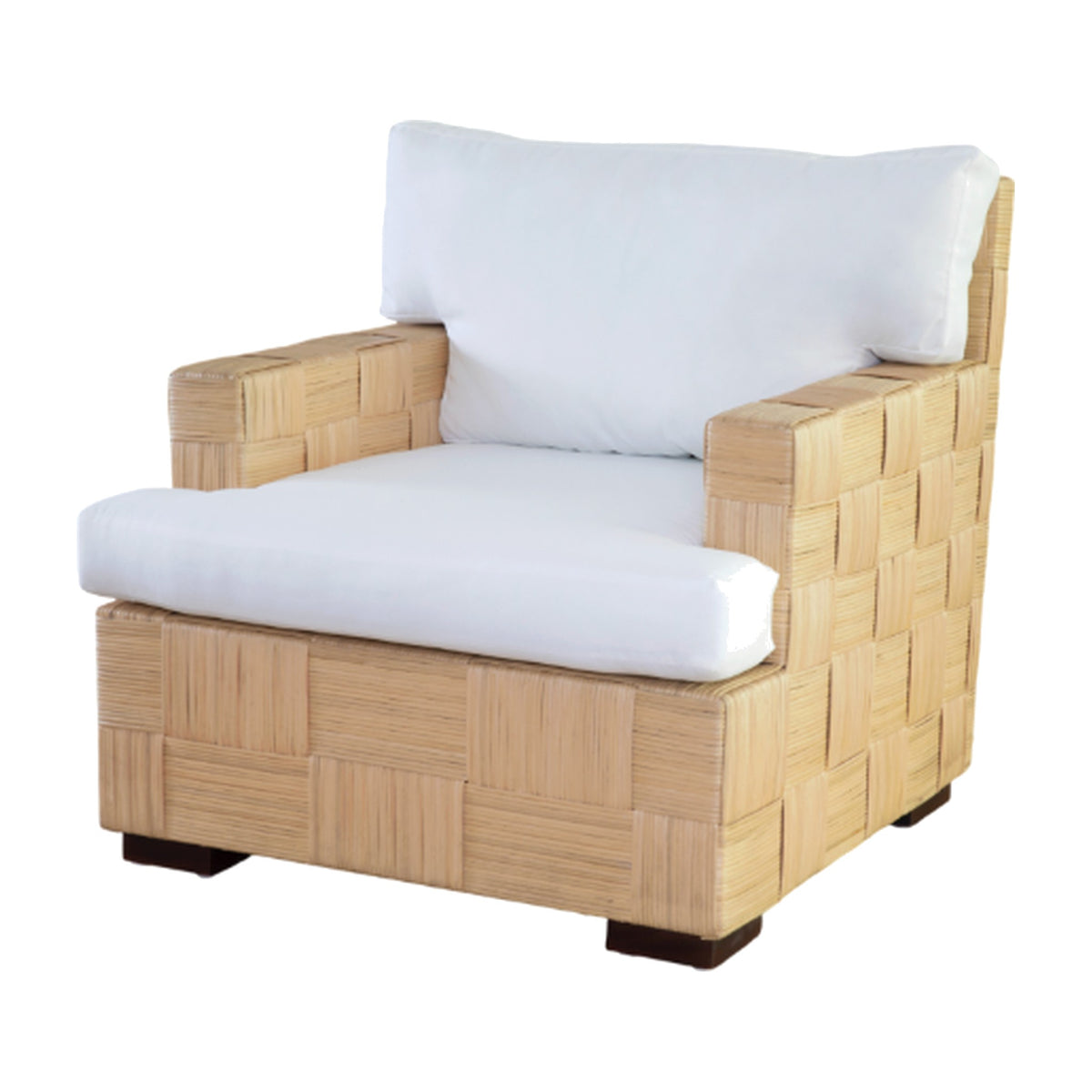 Memoire Design™ X Danielle Rollins Jackie Club Chair on a white background