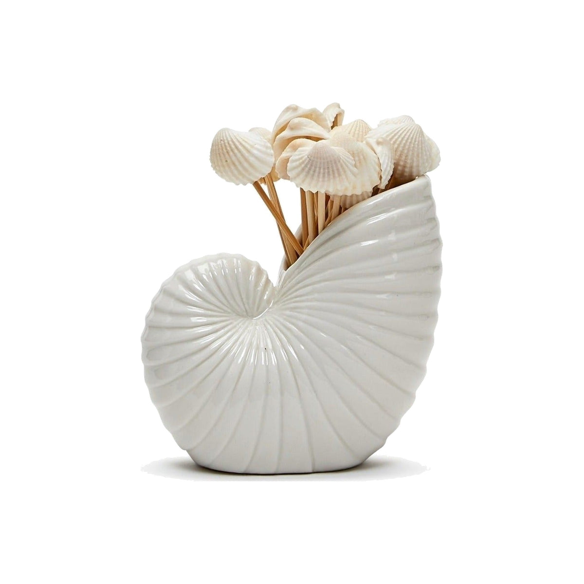 Nautilus Shell Seashell Pick Holder, shown on a white background