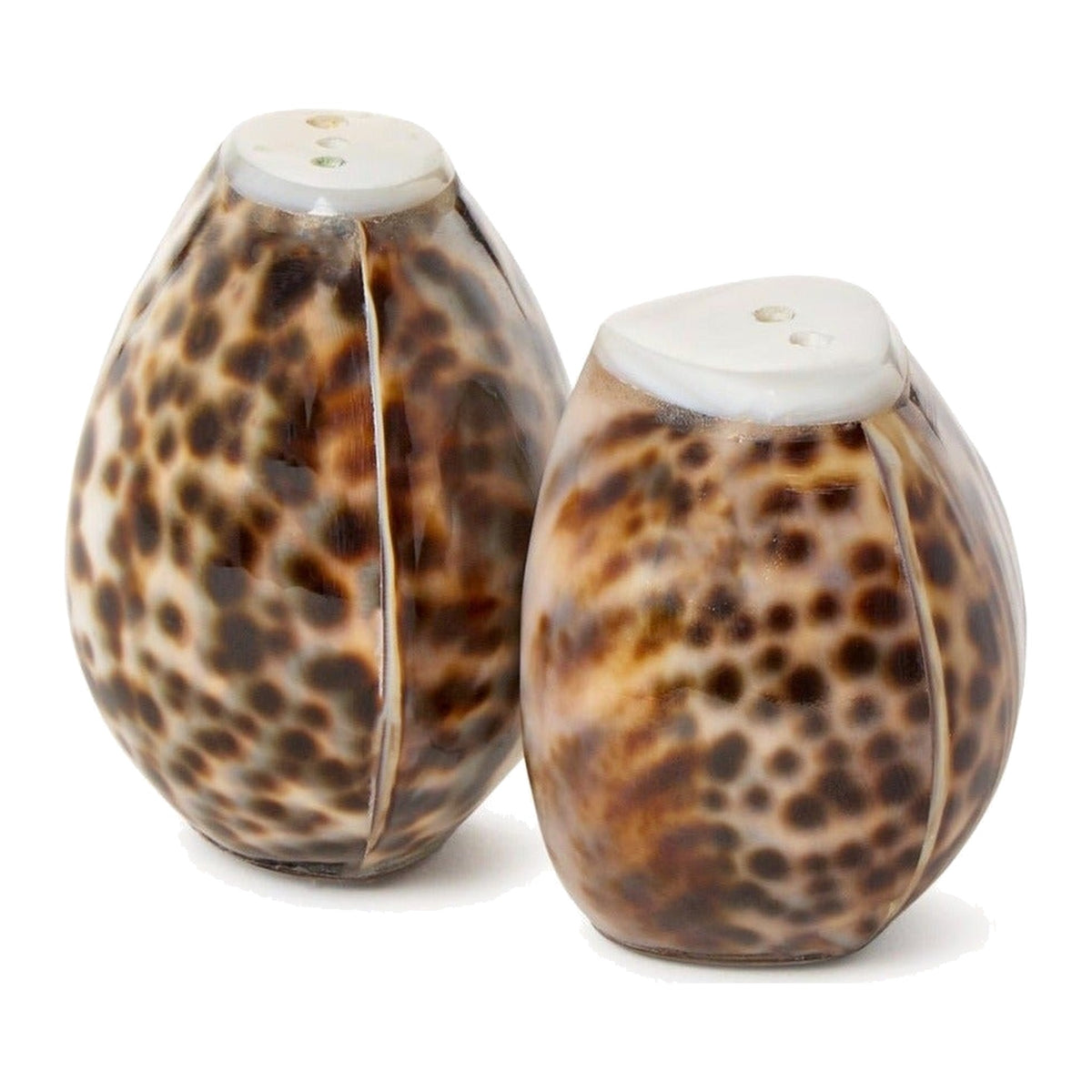 Tiger Cowrie Shell Salt and Pepper Shakers, shown on a white background