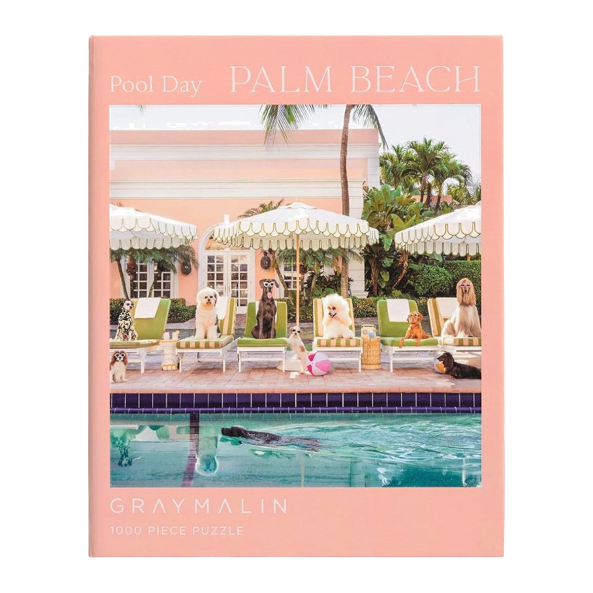 Pool Day on Palm Beach Puzzle on a white background