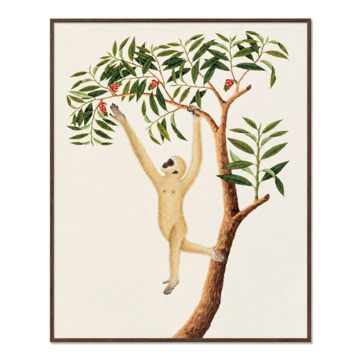 Anglo Indian Monkey I, framed art