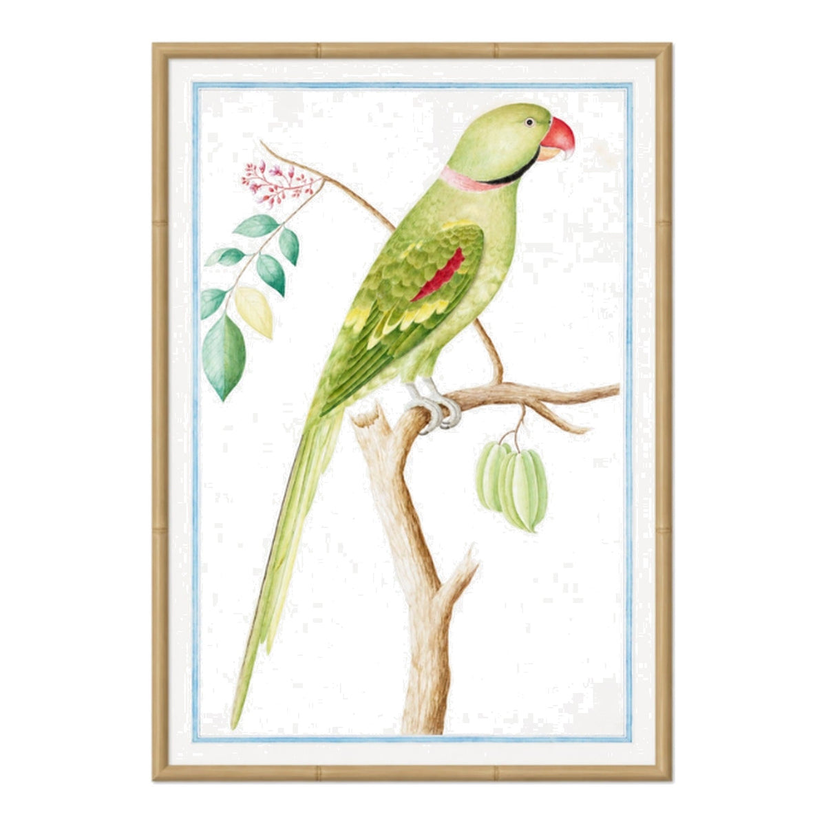 Ceylon Fauna II, framed bird art