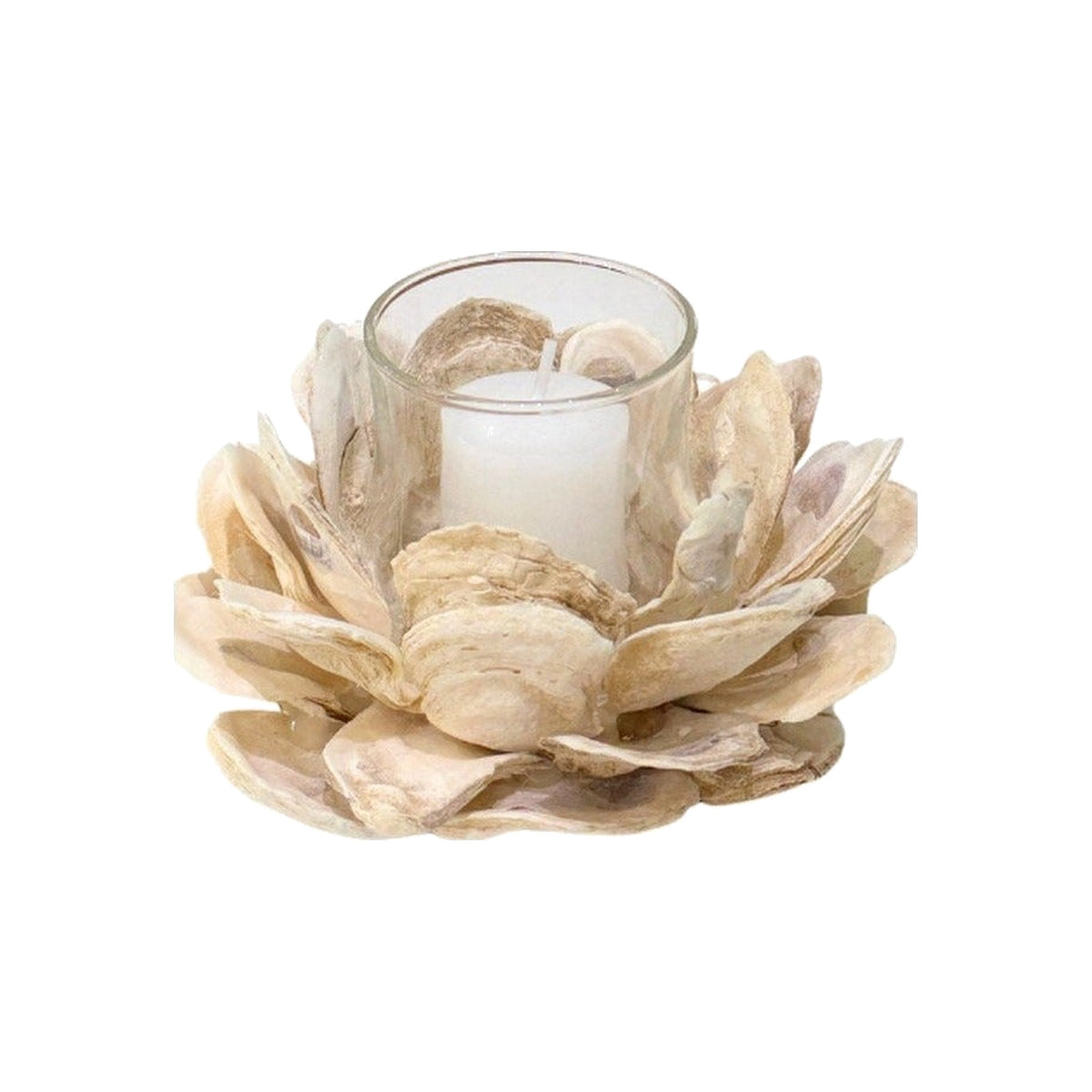 Fossilized Oyster Shell Votive on a white background