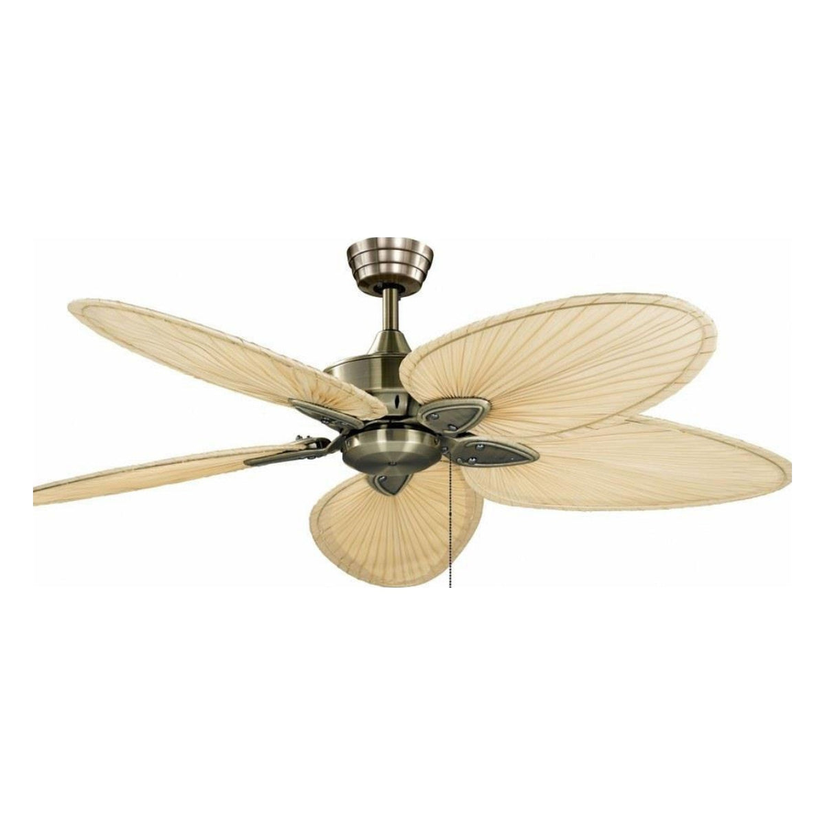 Palm Indoor Fan on a white background