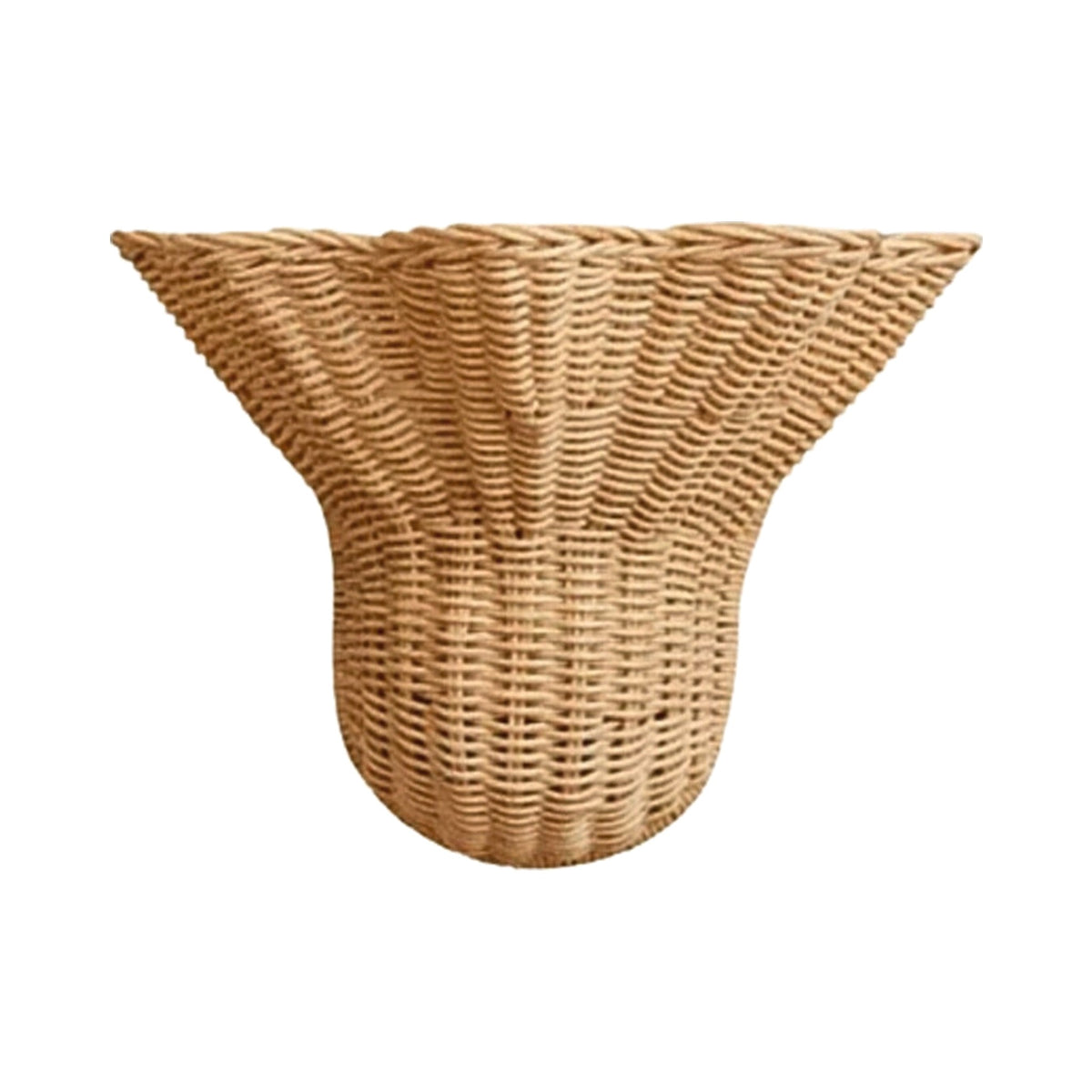 Small Rattan Wall Sconce Shade on white