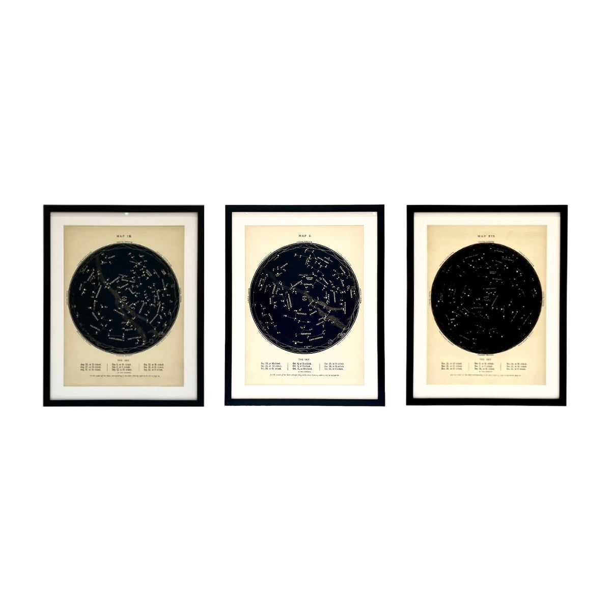 Astrology maps shown together as a set
