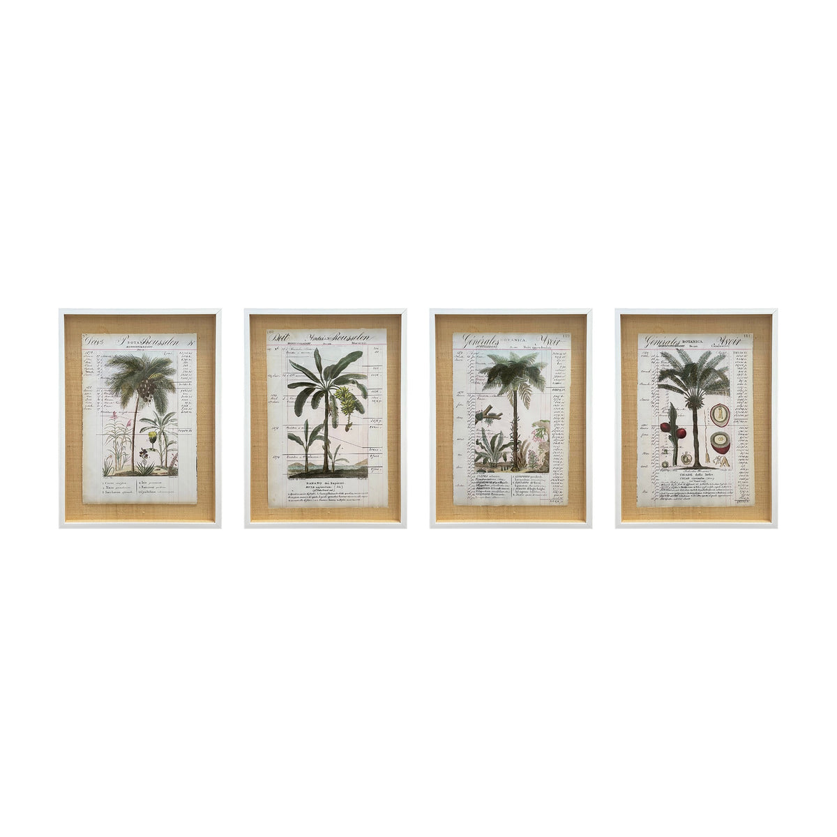 Botancia palm prints shown together as a set