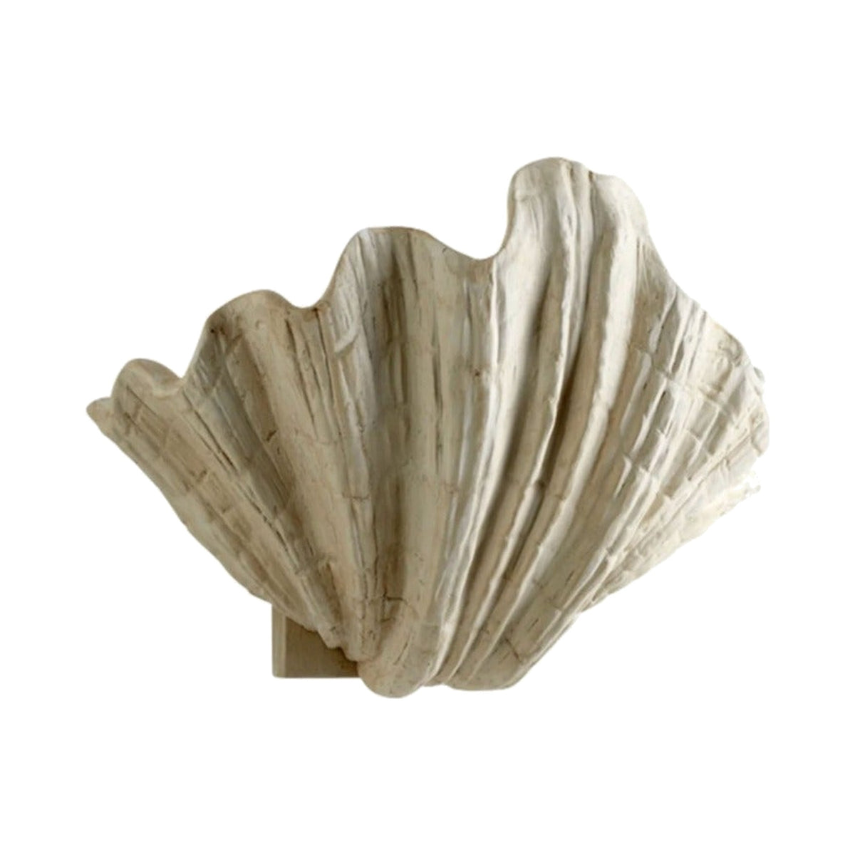 Shelly Wall Sconce on white