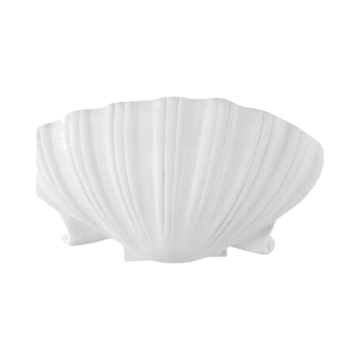 Syrie Shell Sconce on white