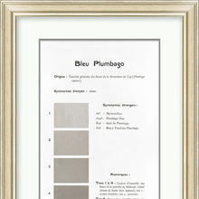 Danielle Rollins Bleu Plumbago