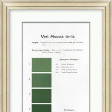 Danielle Rollins Vert Mousse Teinte