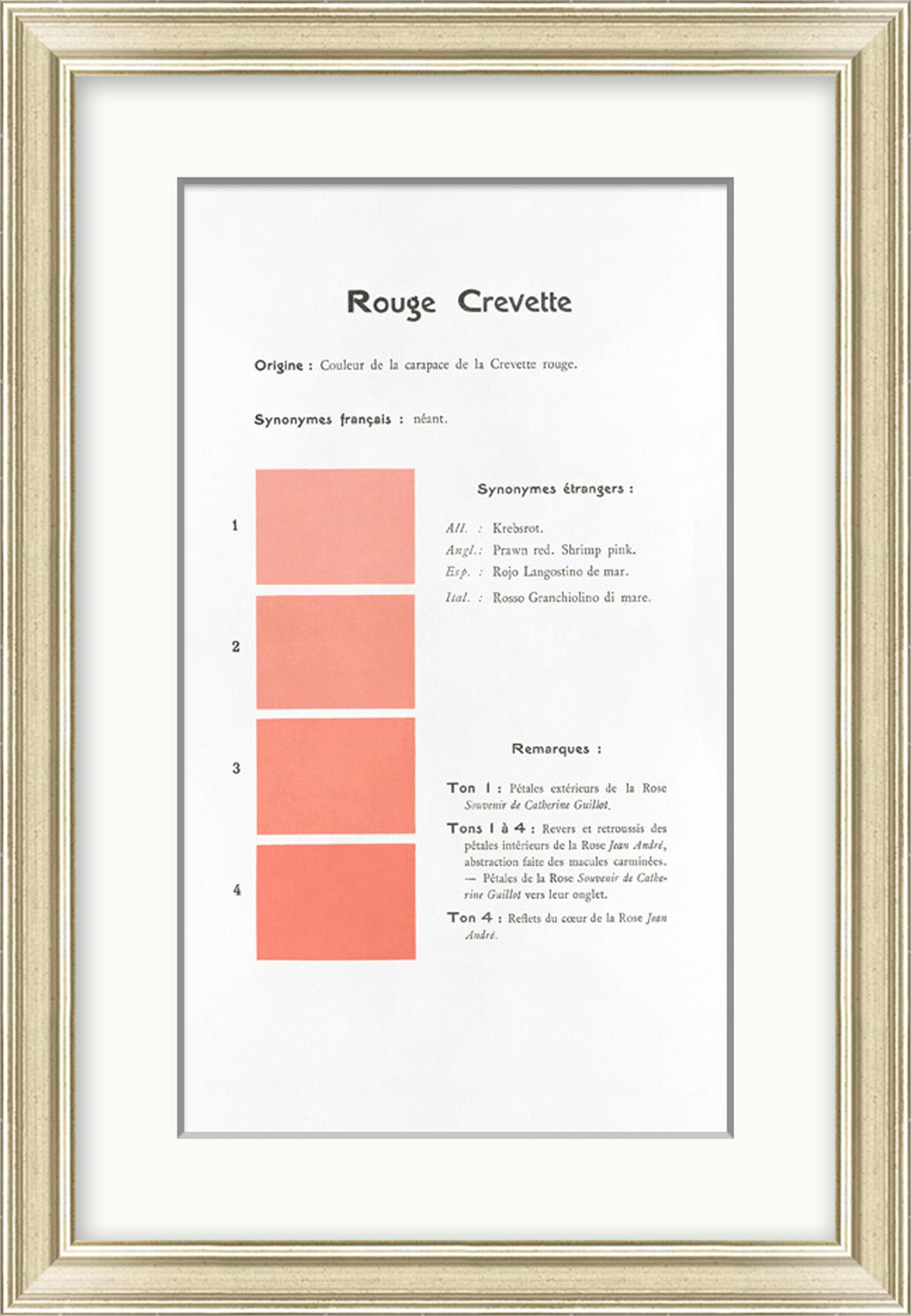 Danielle Rollins Coral Collection A-I