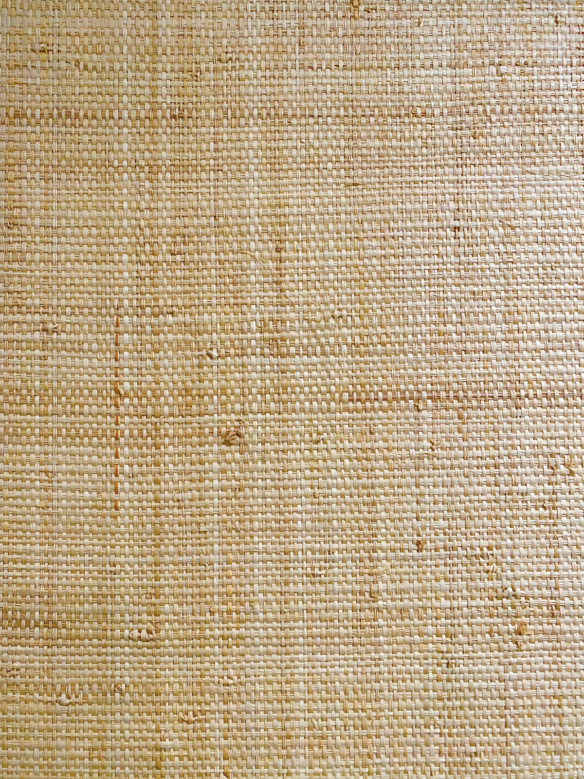 Danielle Rollins "Madagascar Raffia" Grasscloth Wallpaper