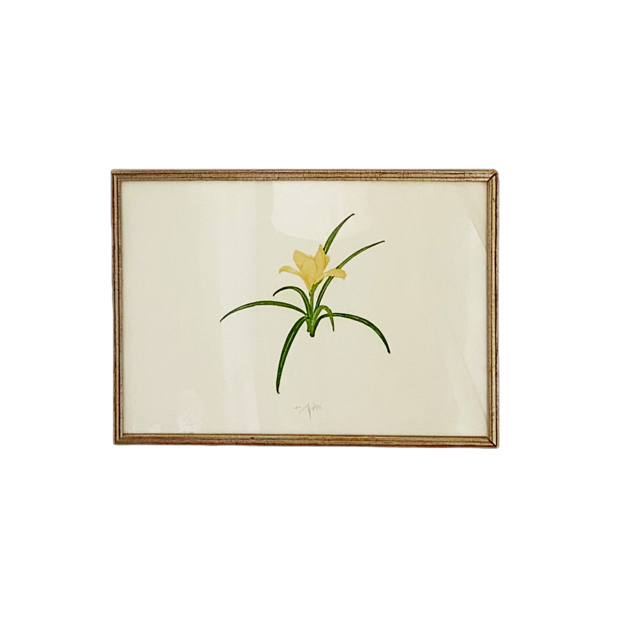 Mid Century Botanical Print