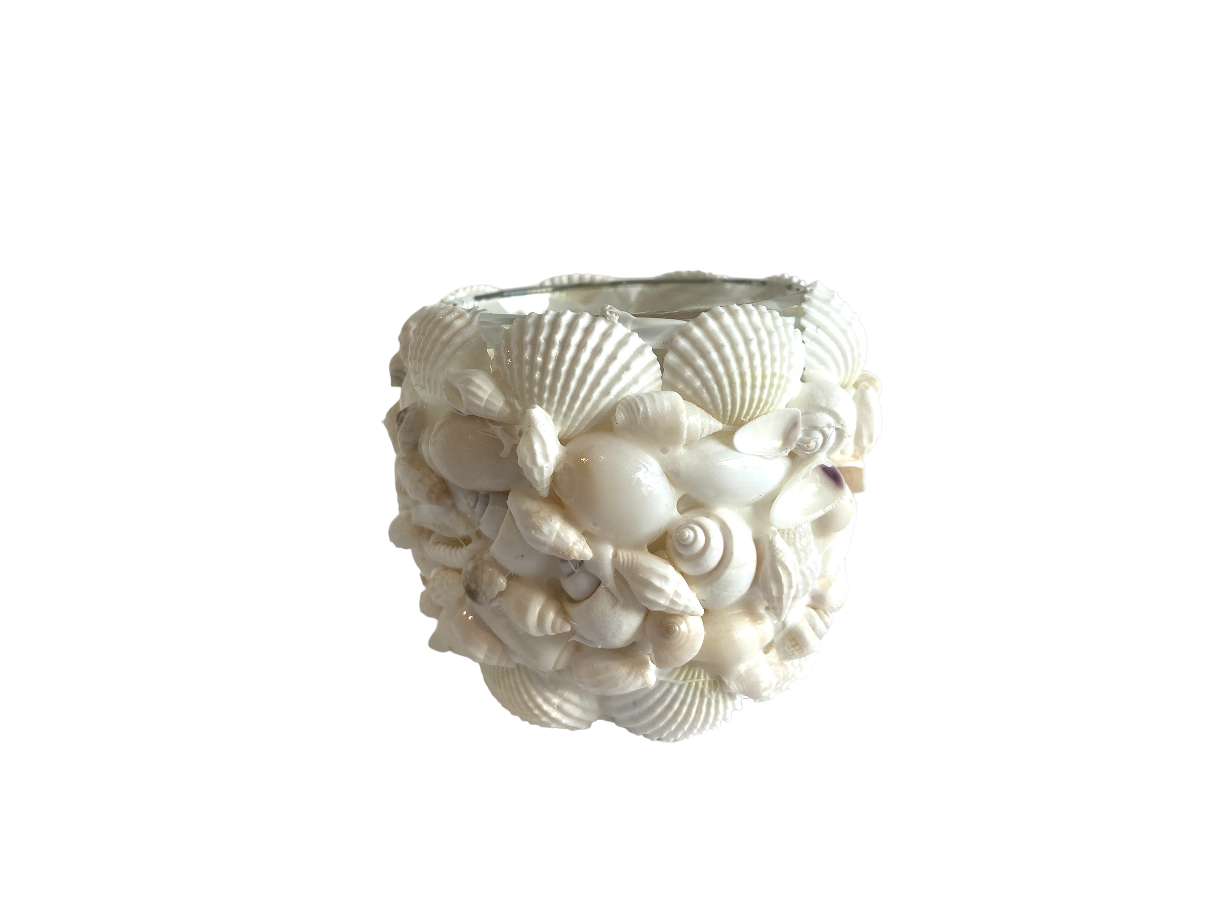 White Mixed Shell Votives, Small