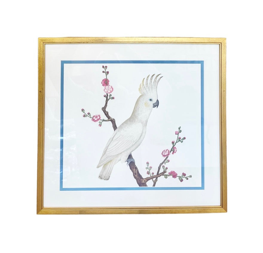 "White Eye Bird" Ch'ien-lung Period, Giclee Print