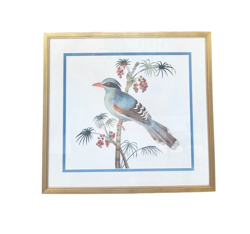 "White Eye Bird" Ch'ien-lung Period, Giclee Print