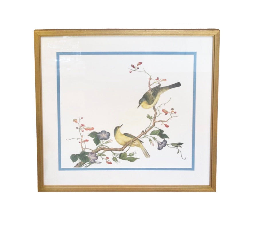 "White Eye Bird" Ch'ien-lung Period, Giclee Print