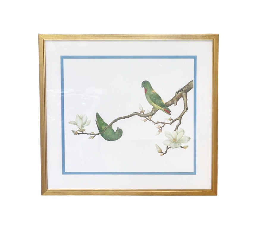 "White Eye Bird" Ch'ien-lung Period, Giclee Print