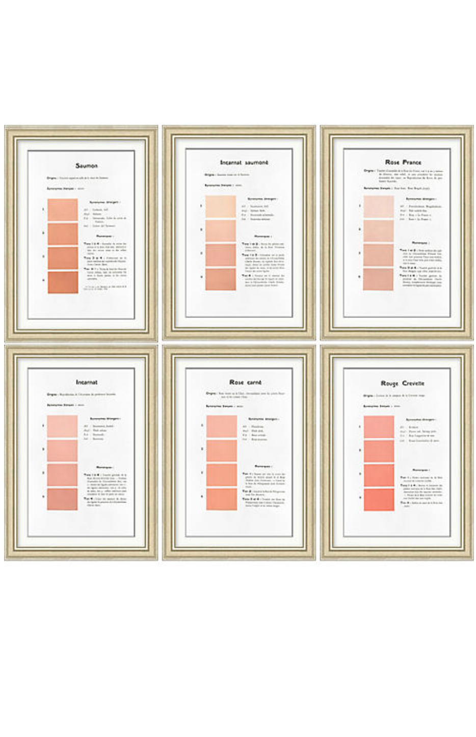 Danielle Rollins Coral Collection A-F
