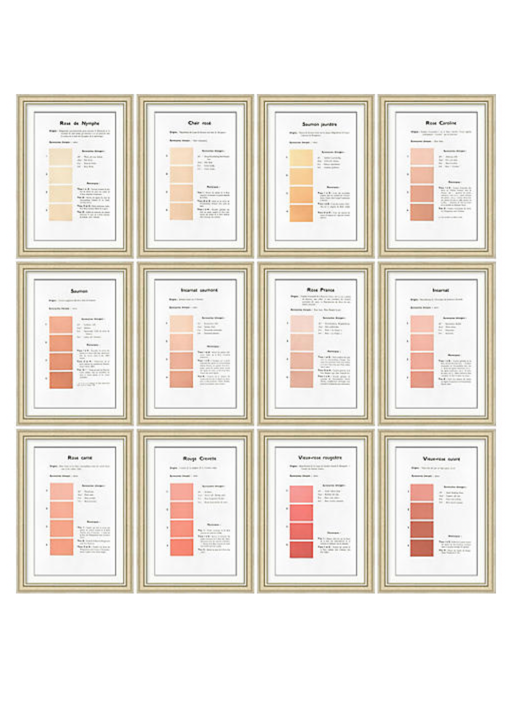 Danielle Rollins Coral Collection A-L