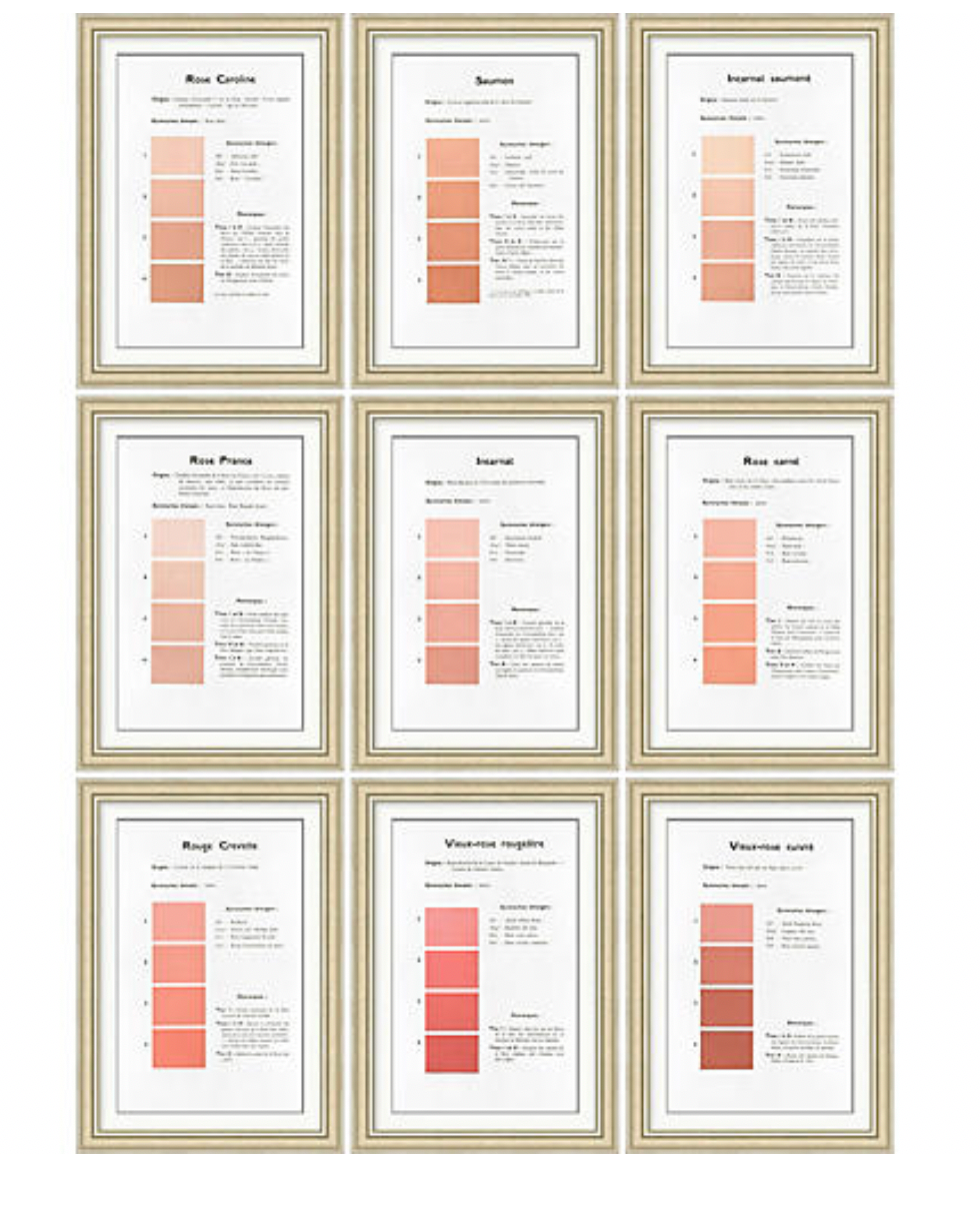 Danielle Rollins Coral Collection A-I