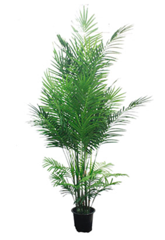 Fabulous Faux Areca Pam Trees