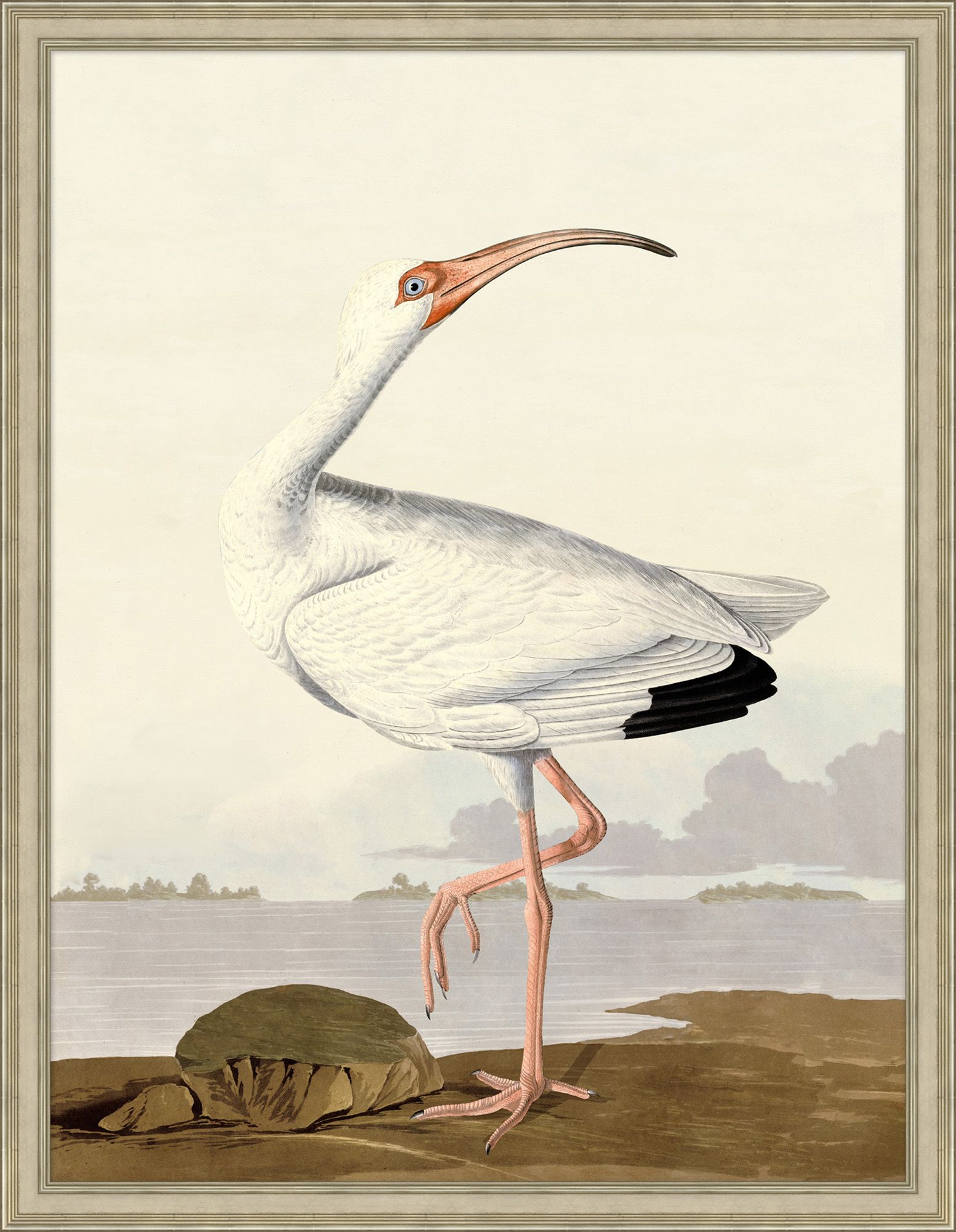 Audubon